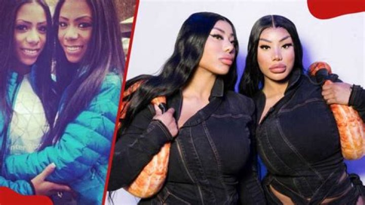 Clermont Twins Before Surgery: How They Transformed Their Looks and Lives