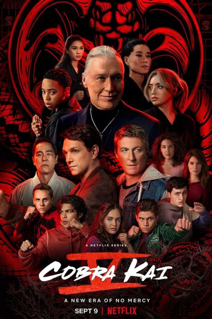 Cobra Kai Season 4 Poster Released by Netflix
