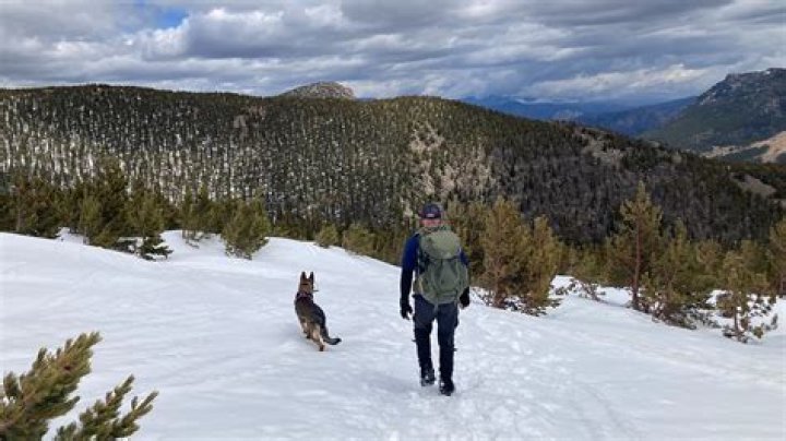 Colorado Hiker Found Deceased in Glacier National Park: Search Team Success
