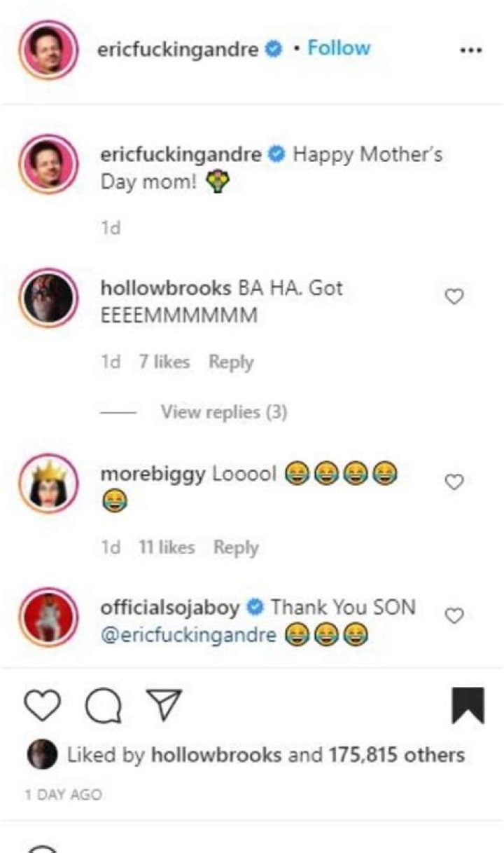 Comedian Eric Andre made a hilarious Mother’s Day post on social media with a shout out to Babygirl Lisa