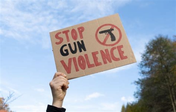 Community, legislators discuss gun violence at Davenport forum