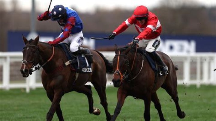 Crambo slashed into 8-1 for the Stayers' Hurdle at Cheltenham after downing Paisley Park at Ascot