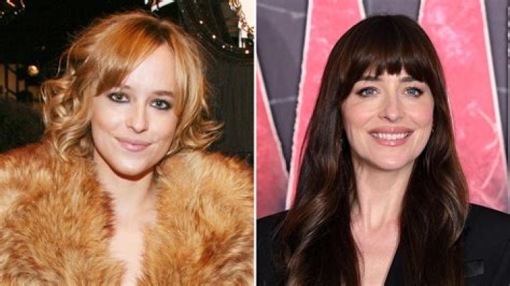 Dakota Johnson Plastic Surgery: Fact or Fiction?