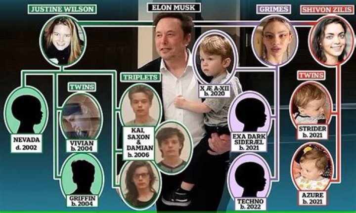 Damian Musk: The Rising Star In The Musk Family