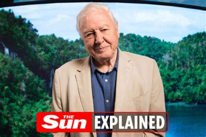 David Attenborough children: Who are Susan and Robert Attenborough?