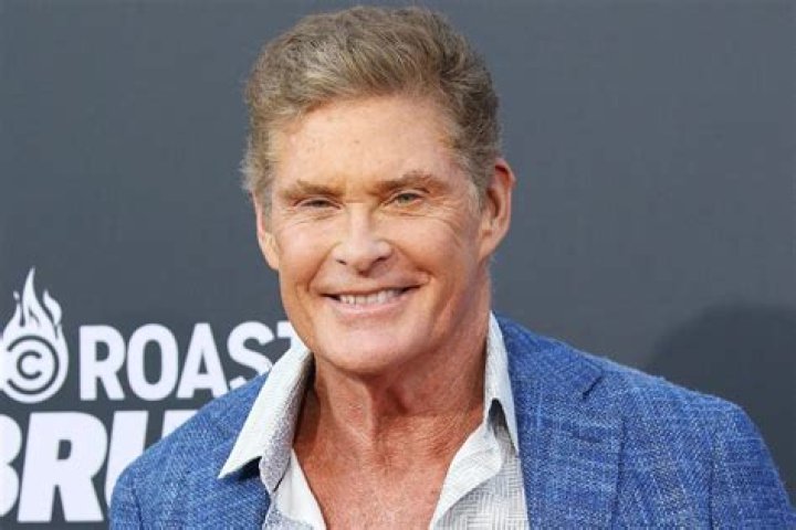 David Hasselhoff Net Worth 2024