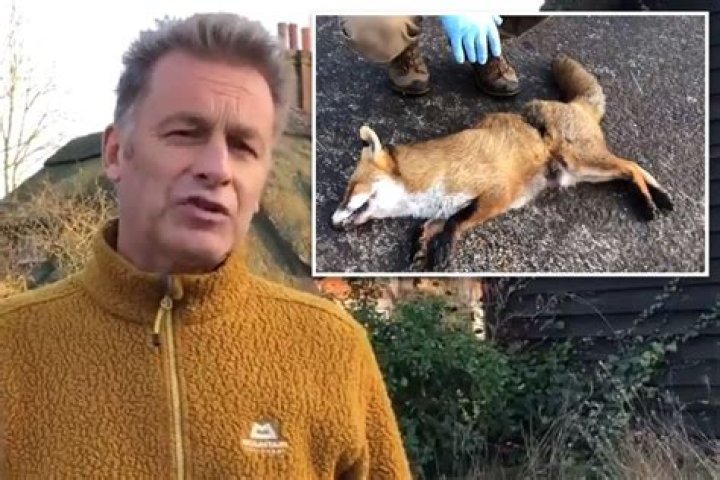 Dead fox is dumped outside Chris Packham’s house just days after the wildlife presenter slammed Boxing Day hunts – The Sun