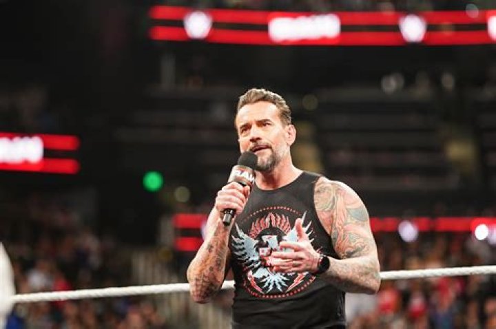 Did the Pepsi Plunge take a toll on Cm Punk's Career?