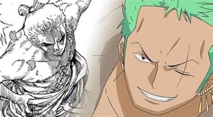 Did You Realize How Long Zoro Has Been Missing?