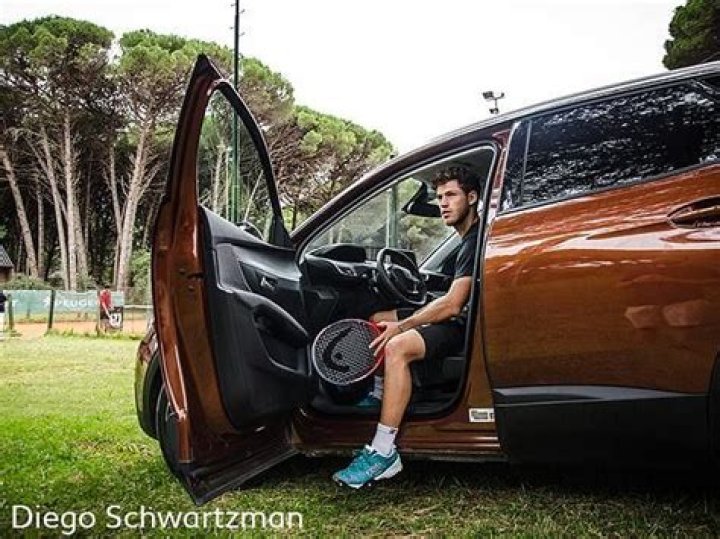 Diego Schwartzman Net Worth 2023, Salary, Prize Money, Endorsements, Cars, Houses, Properties, Etc