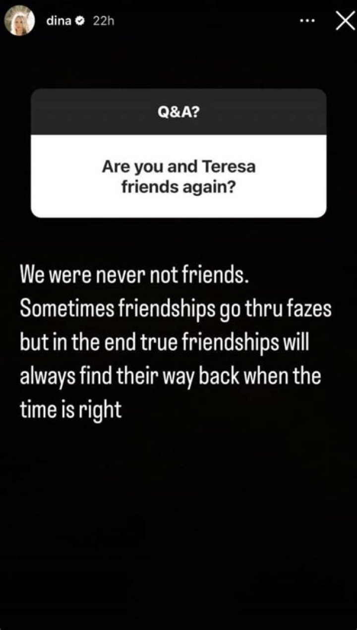 Dina Manzo finally opens up about her shaky friendship with Teresa Giudice