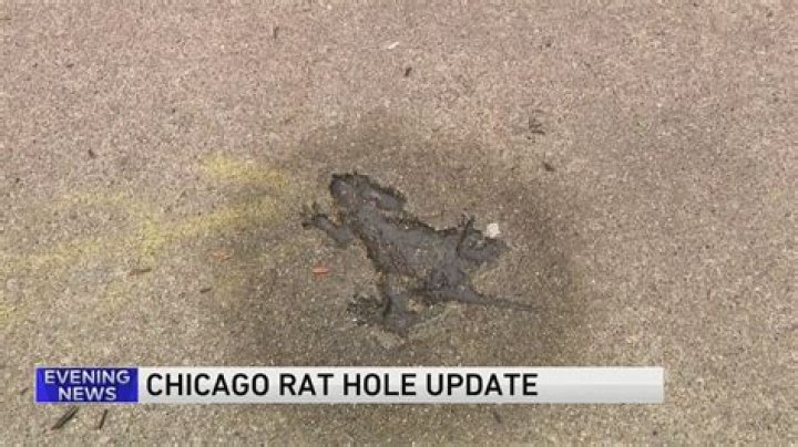 Dirty rat! Culprit fills in Chicago neighborhood landmark known as the ‘rat hole’