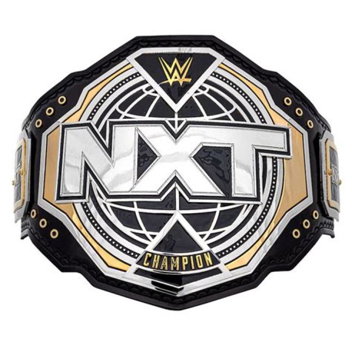 Do NXT Champions Have More Prestige Than The Other Brands?