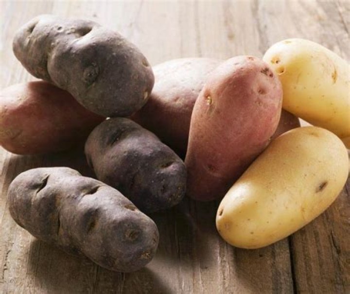 Do Potatoes Raise Blood Sugar? Everything You Should Know