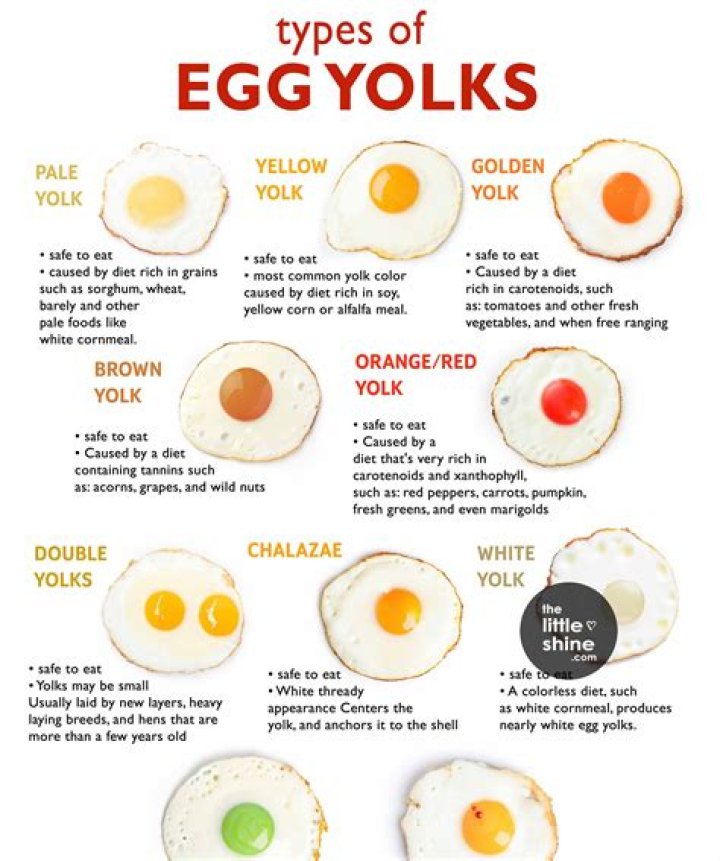 Does the Color of Egg Yolks Matter? Yes and No