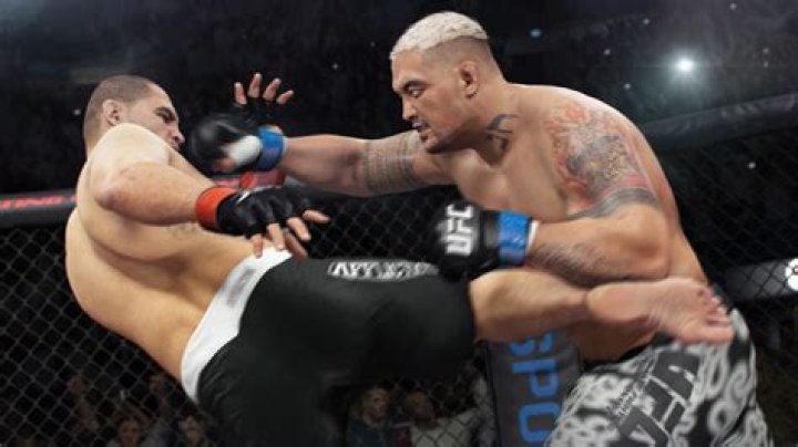 EA Sports UFC 3 Entering Octagon Early 2018 |