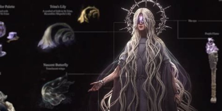 Elden Ring Fans Make Fun of Elon Musk's Character Build