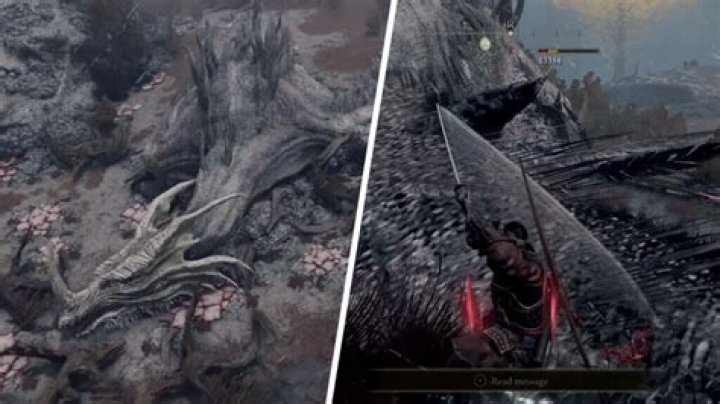 Elden Ring: How to Defeat Elder Dragon Greyoll
