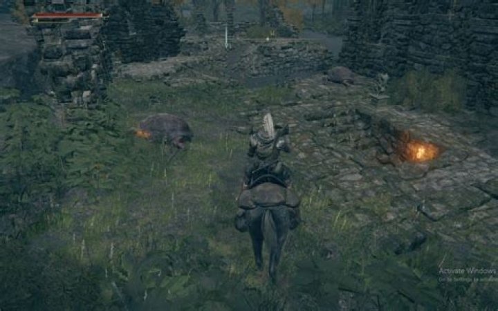 Elden Ring: Where to Find Three Wise Beasts