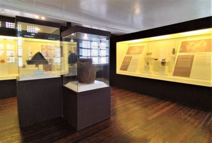 ‘Embrace the truth and move past it’ – Mini Black History Museum opens in Texas