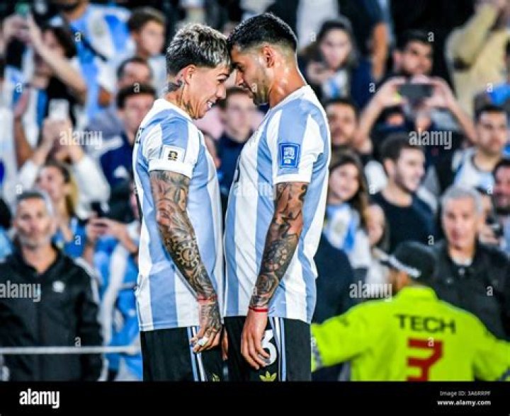 Enzo Fernández - National team