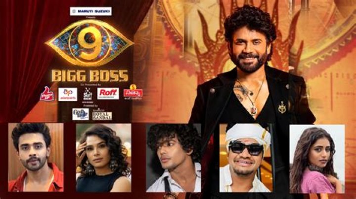 EXCLUSIVE: Bigg Boss Telugu 3 contestant Vithika Sheru opens up on Rahul, Varun Sandesh, being trolled & more