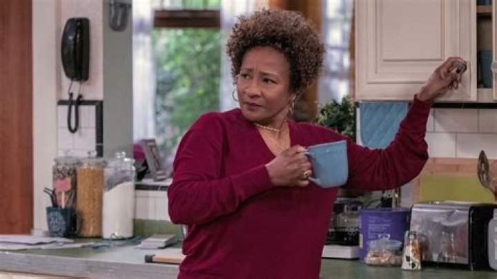 Exclusive: Wanda Sykes on comparisons between Sandford and Son and The Upshaws