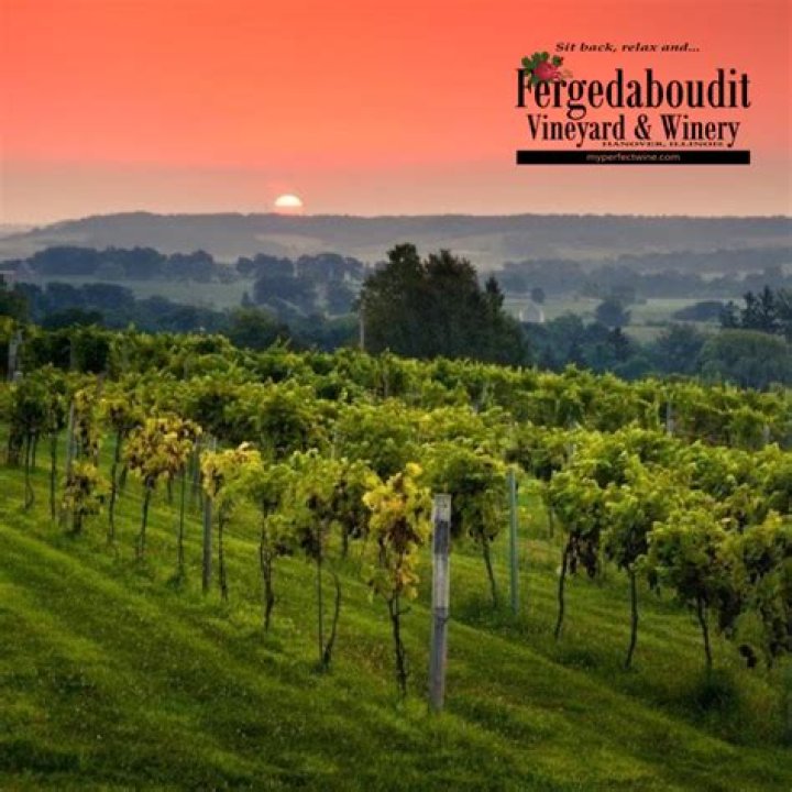 Exploring Fergedaboudit Vineyard & Winery near Galena