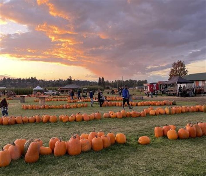 Exploring Our Quad Cities: Buffalo Pumpkin Farm and Market