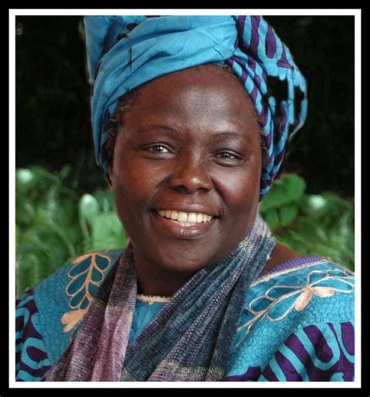 Exploring The Life And Achievements Of Camilla Aroju