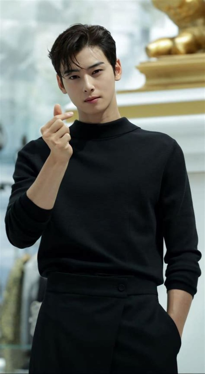 Exploring The Rise Of Cha Hyun Woo: The Multifaceted Star Of South Korea