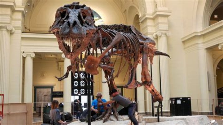 Family fights over Sue the T. Rex inheritance