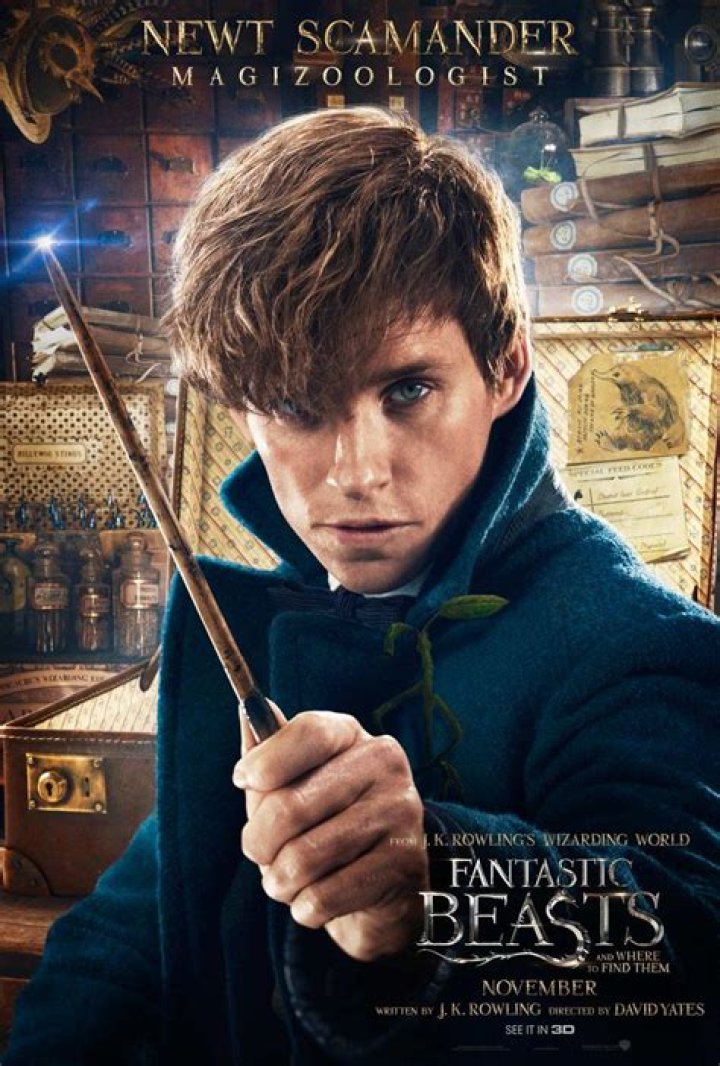Fantastic Beasts: Who Is Newt Scamander?
