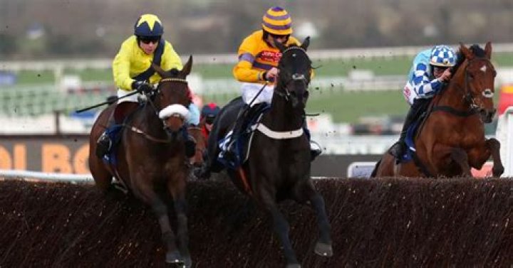 Festival winner Tully East heading back to Cheltenham
