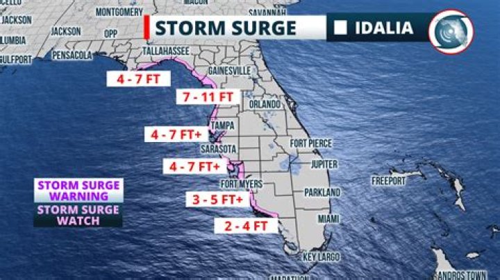 Florida agriculture losses between $78M and $371M from Hurricane Idalia, preliminary estimate says