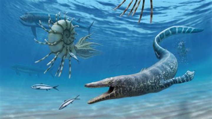 Florida Dinosaur: How Creatures from the Deep Walked Again