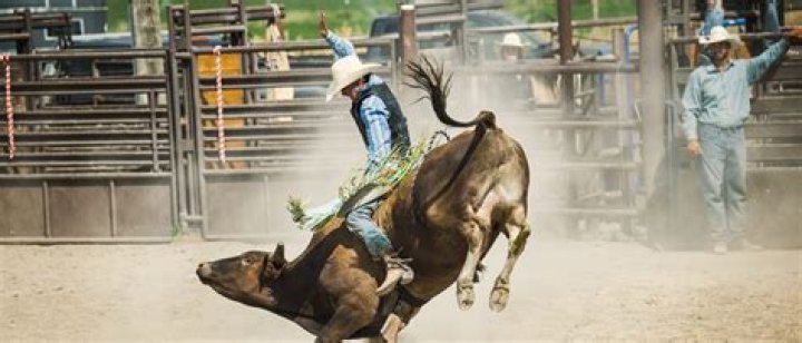 Freedom Reins Pro Rodeo in The Galena Territory July 1-2