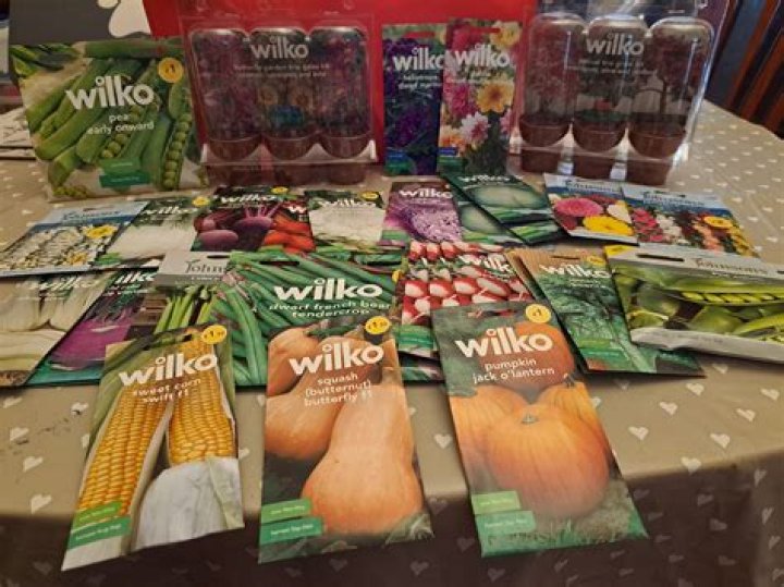 Gardening fans are rushing to Home Bargains to snap up a £9.99 must-have item - it’ll totally transform your garden