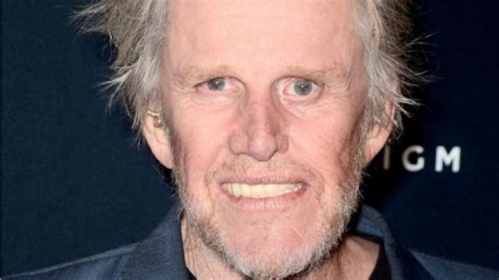 Gary Busey facing criminal sexual misconduct charges