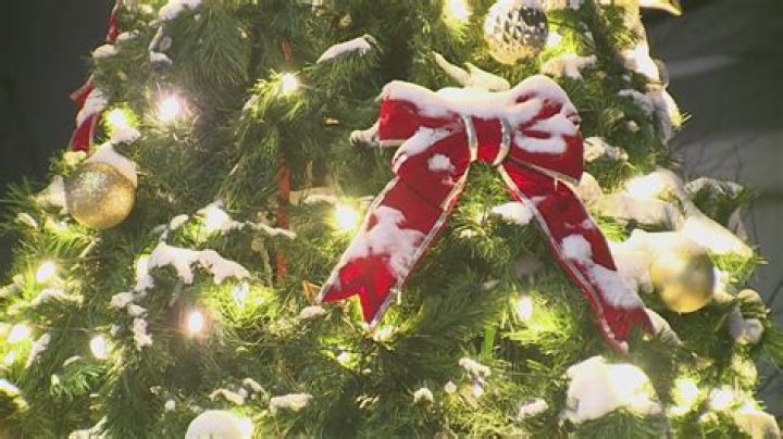 Gilda’s Club lights Blessing Tree