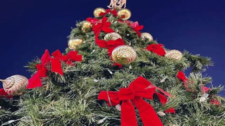 Gilda’s Club of the Quad Cities lights the darkness with Blessing Tree