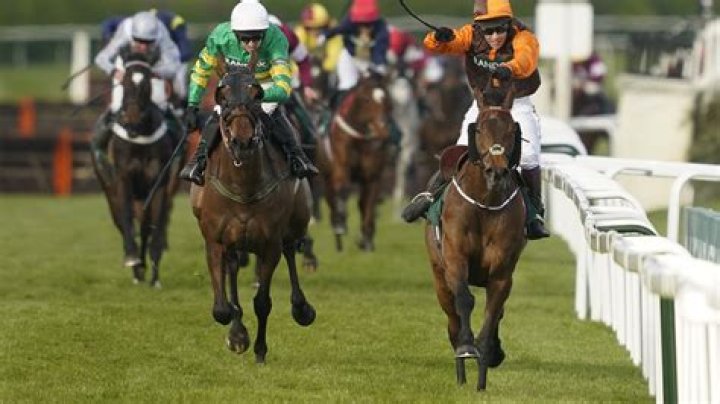 Grand National horse numbers 2023 - full list of runners for HUGE Aintree showpiece race
