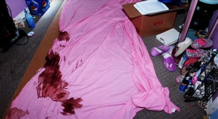 Gypsy Rose Crime Scene Body: A Comprehensive Analysis