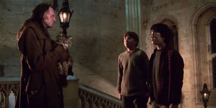 Harry Potter Theory Gives Argus Filch A Heartbreaking Twist