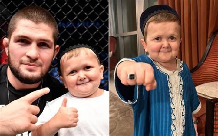 Hasbulla Magomedov: Wiki, Bio, Age, Height, Parents, Net Worth
