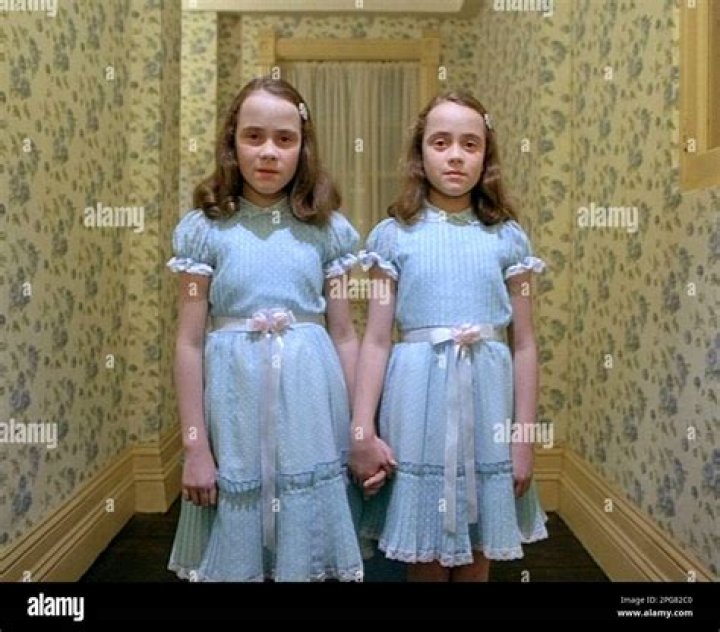 Here is What Happened to the Twins in “The Witch”
