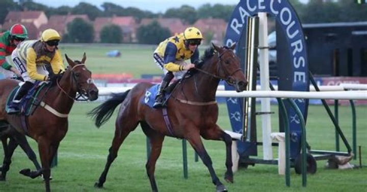 Horse racing tips: Jim Goldie has got a very useful claimer on this 10-1 pick at Ayr on Tuesday