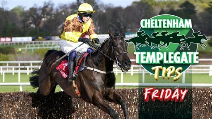 Horse racing tips: Templegate's 11-4 NAP can work his magic once again for Paul Nicholls at Wincanton