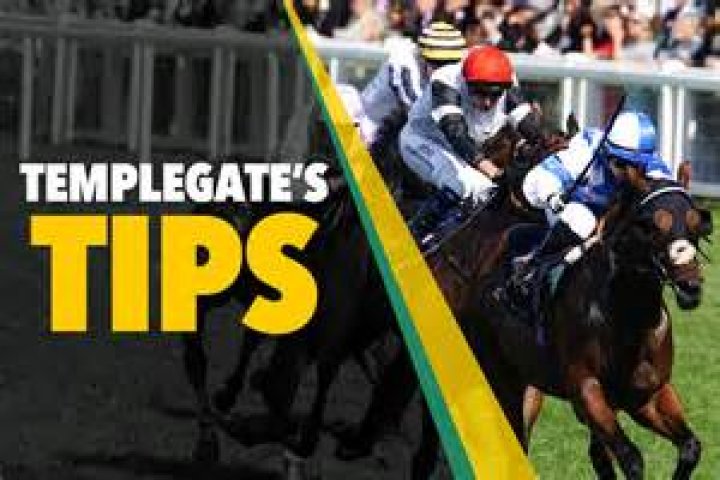 Horse racing tips: Templegate NAP looks a Newmarket banker after impressive Royal Ascot run