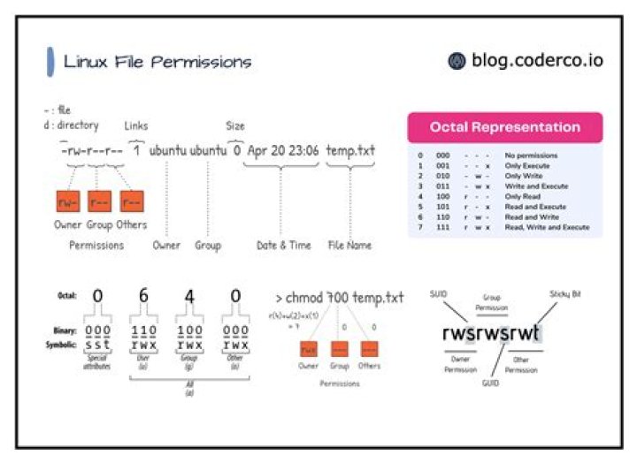 How do linux file permissions work